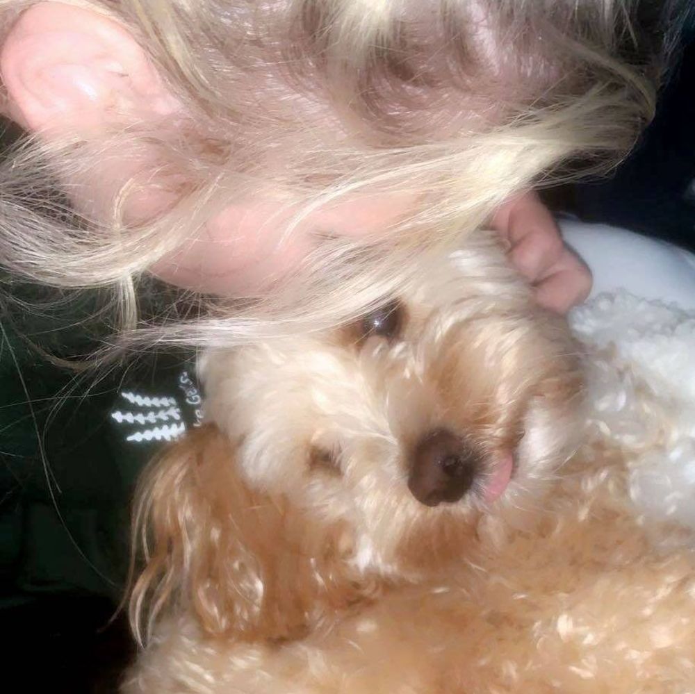 Meet your Posher, Bella